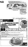 CD 'Organisierung von unten & HierarchNIE!'